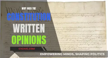 Founding Fathers' Intent: The Constitution's Opinions Explored