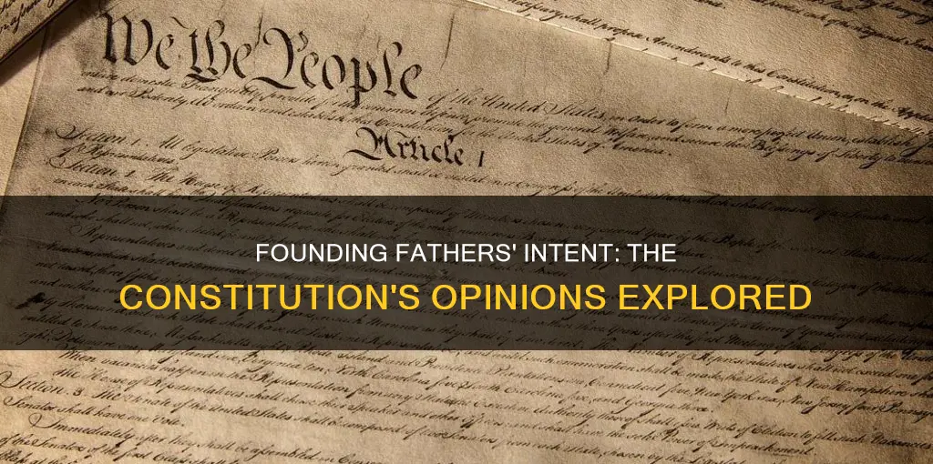 why was the constitution written opinions