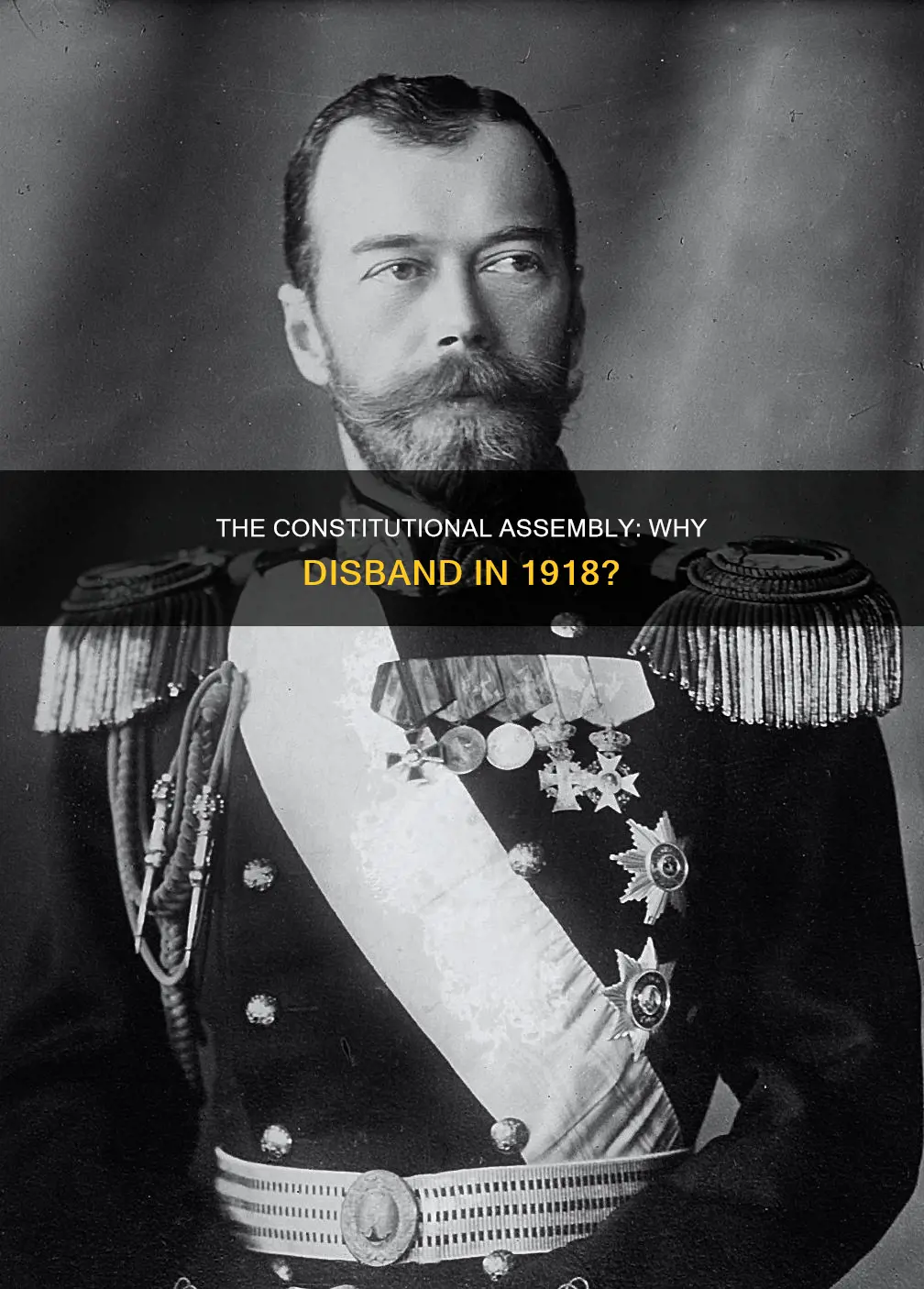 why was the constitutional assembly disbanded in january 1918