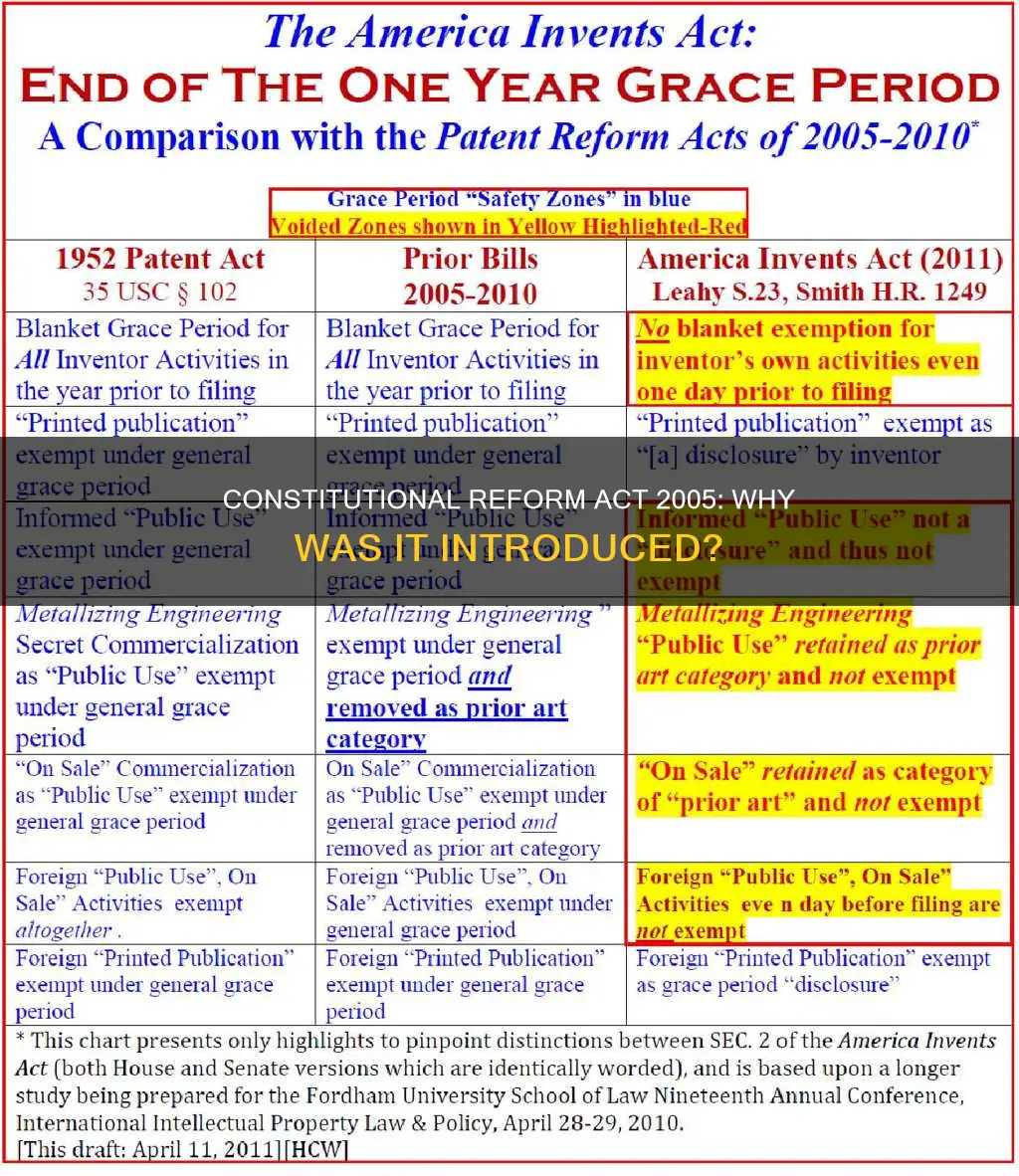 why was the constitutional reform act 2005 introduced