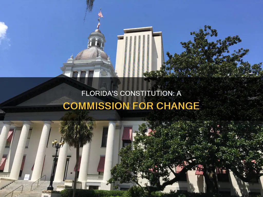 why was the florida constitution revision comission created