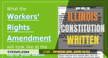 Illinois Constitution: Why Was It Written?