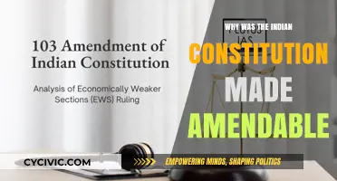 The Dynamic Indian Constitution: Adapting to Change