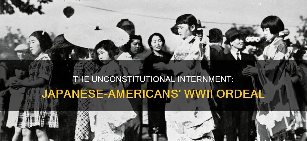 why was the internment of japanese-americans a constitutional issue
