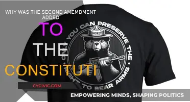 The Second Amendment: Protecting the Right to Bear Arms