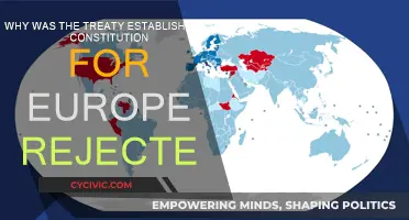 The Treaty Establishing a Constitution for Europe: Why It Failed