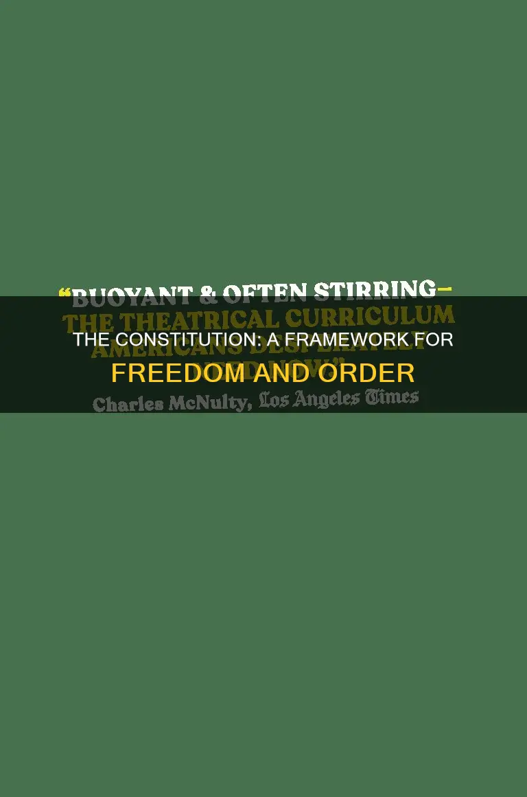 why was there a need for a constitution