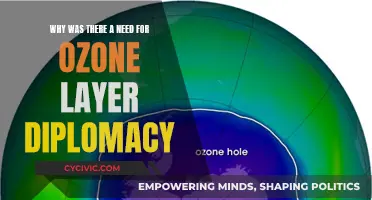 Ozone Layer Diplomacy: Global Action for Blue Skies