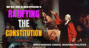 Opposition to the Constitution: Why the Resistance?