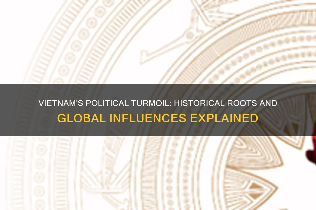why was vietnam so political