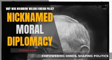 Woodrow Wilson's Moral Diplomacy: A Foreign Policy Overview