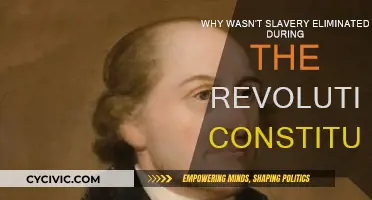 Revolution's Missed Opportunity: Slavery's Continued Existence
