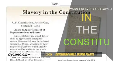 Slavery's Legal Past: The Constitution's Dark Legacy