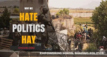 Why We Despise Political Hay: Unraveling the Frustration Behind the Noise