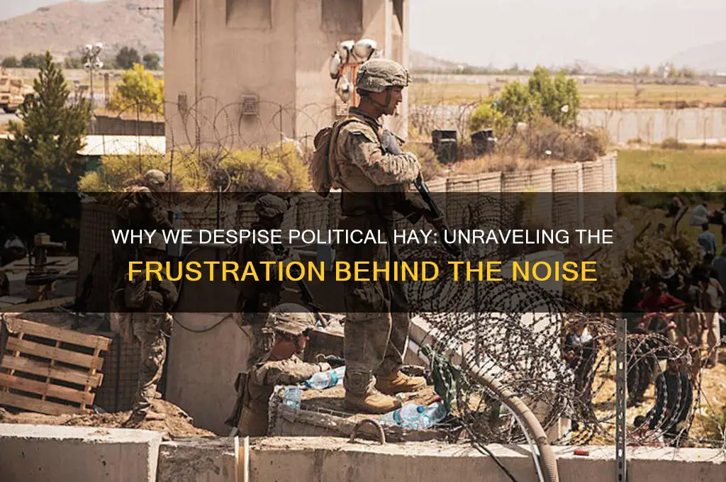 why we hate politics hay