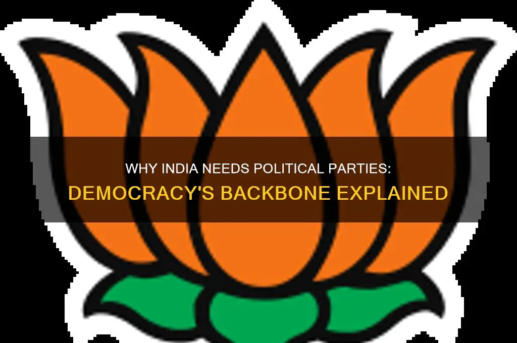 why we need political parties in india