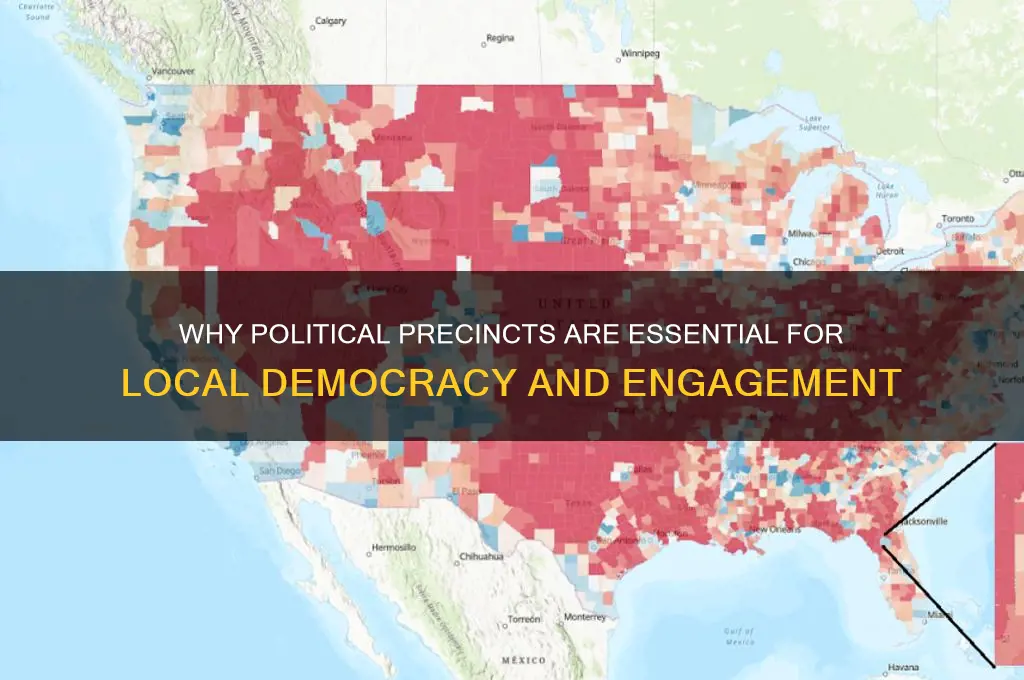 why we need political precincts