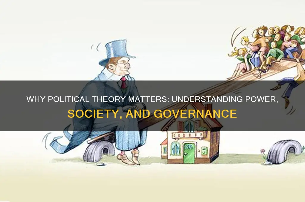 why we need political theory