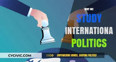 Understanding Global Dynamics: The Importance of Studying International Politics