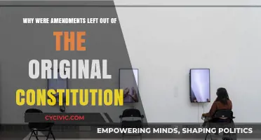 Amendments Left Out: Why the Constitution's Original Silence?