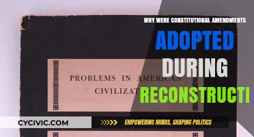 Reconstruction Amendments: Rights and Representation