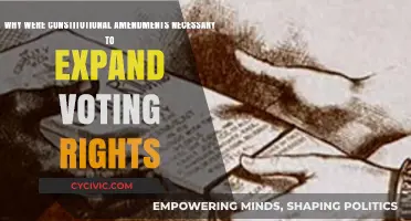 Expanding Voting Rights: Amendments for a Stronger Democracy