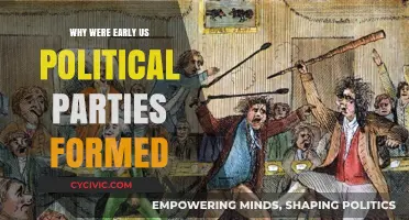 The Birth of US Political Parties: Origins and Early Divisions