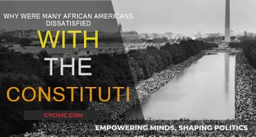 African Americans' Dissatisfaction with the Constitution: Why?