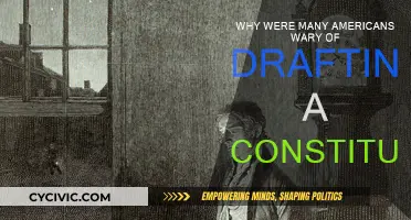 Americans' Fear of a Constitution Draft: Why?