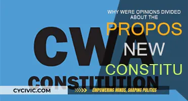 Opposing Views: New Constitution's Impact