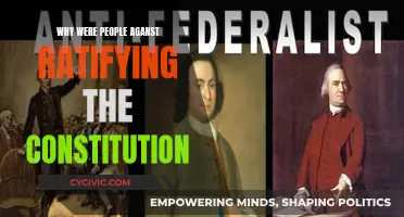 Opposition to Constitution Ratification: Why the Resistance?