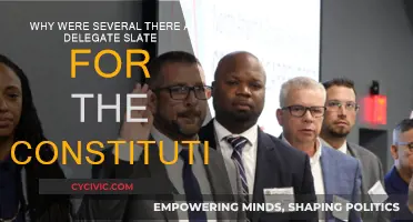 The Constitution: A Diverse Delegate Slate