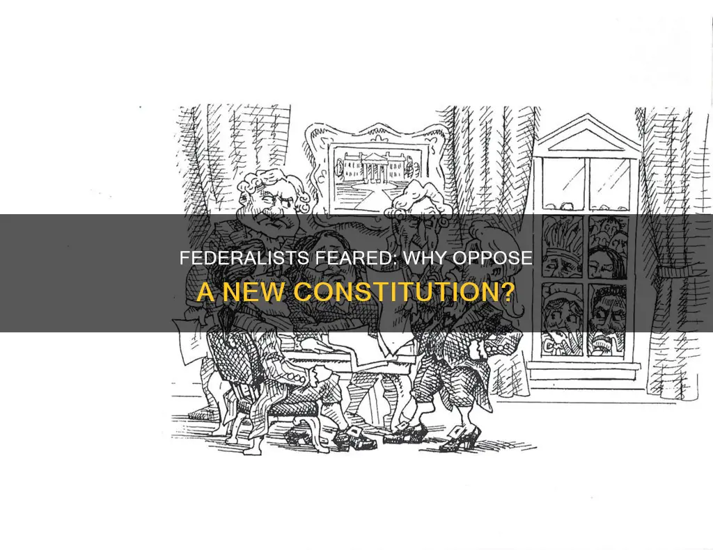 why were the federalists against writing a new constitution