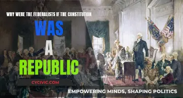 Federalists' Constitution: A Republic or Not?
