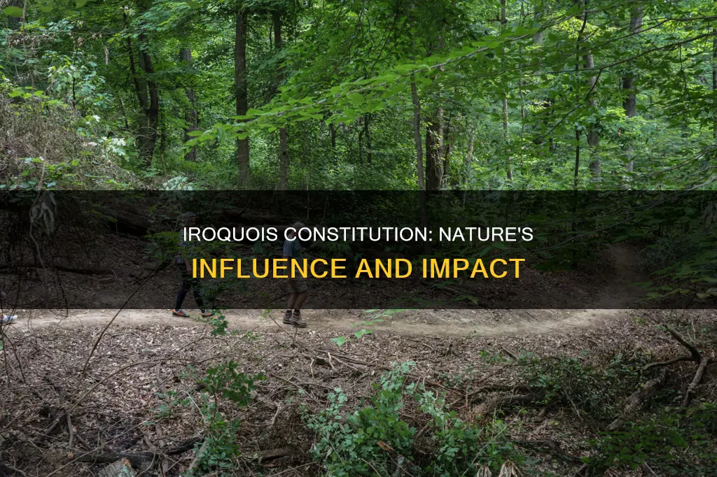 why were the iroquois influenced by nature in their constitution