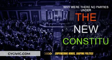 The Constitution's Party Pooper: Why No Celebrations?