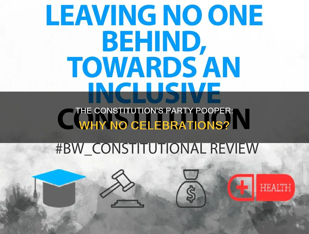 why were there no parties under the new constitution