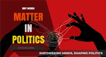 The Power of Political Language: Shaping Minds, Policies, and Nations