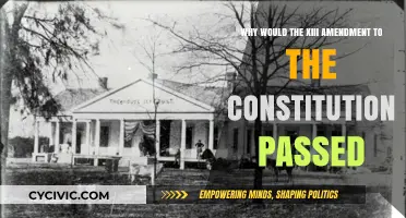 Understanding the Motivation Behind the 13th Amendment