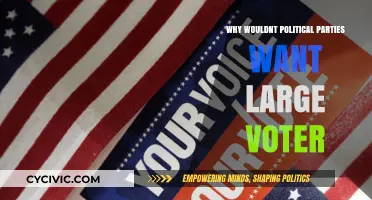 Why Political Parties Often Fear Large Voter Turnout