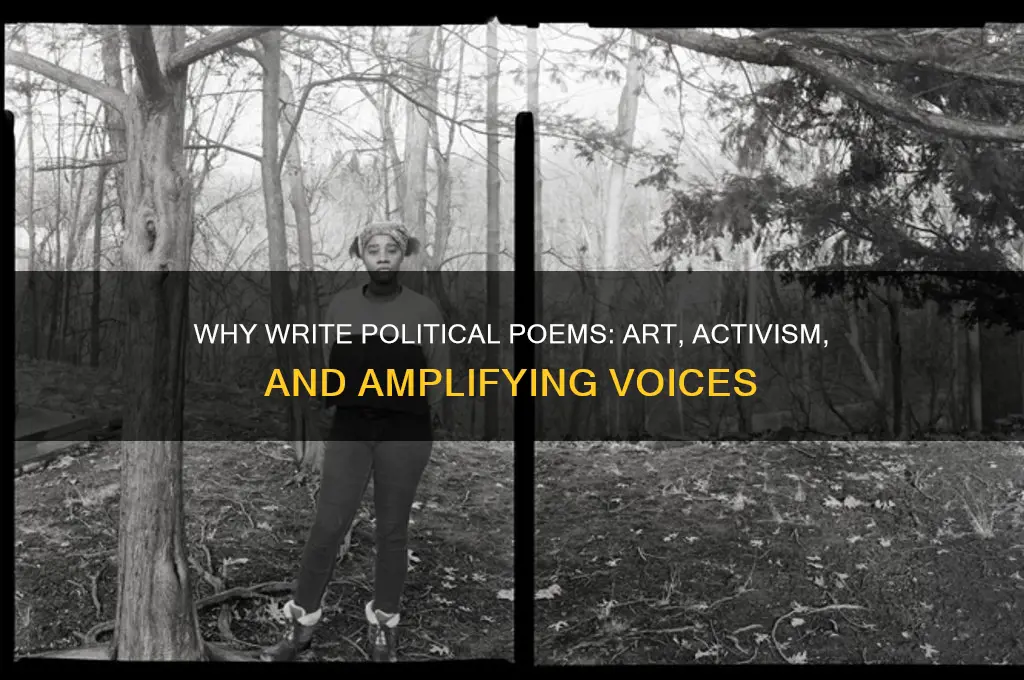 why write political poems
