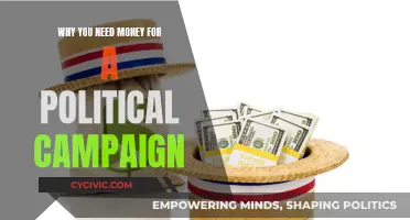 Money: The Lifeblood of Political Campaigns