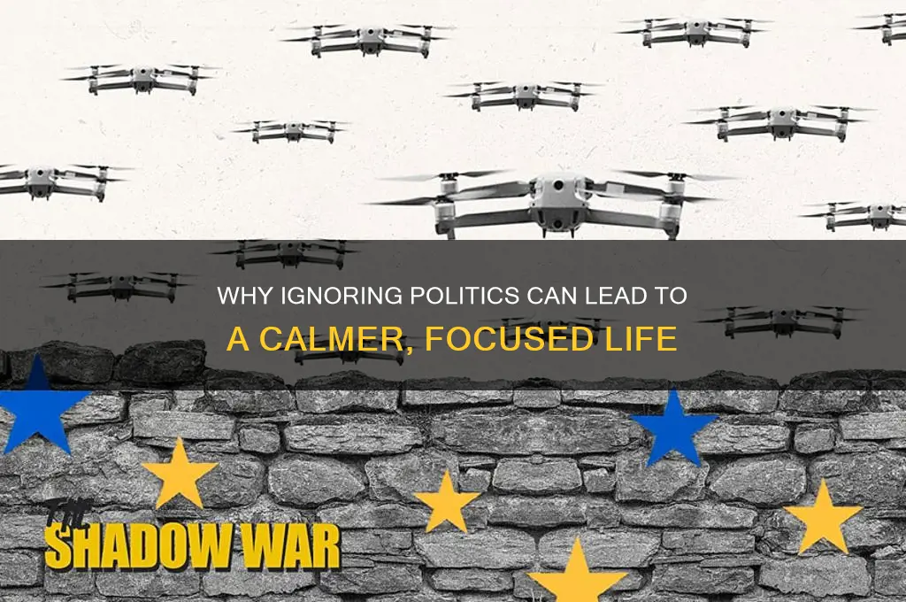 why you should ignore politics