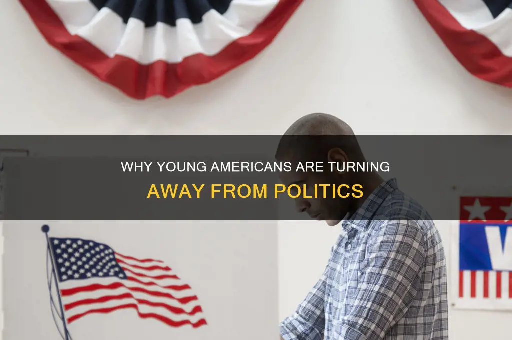 why young americans hate politics