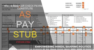 Check Payments: Are They Pay Stubs?