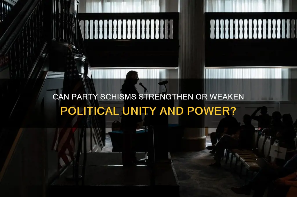 will a schism in a political party benefit the party