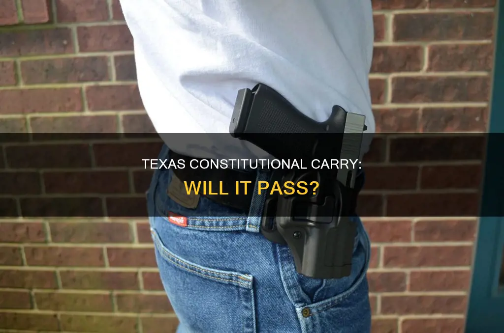 will a texas constitutional carry pass