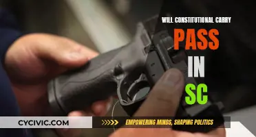 The Future of Constitutional Carry in South Carolina