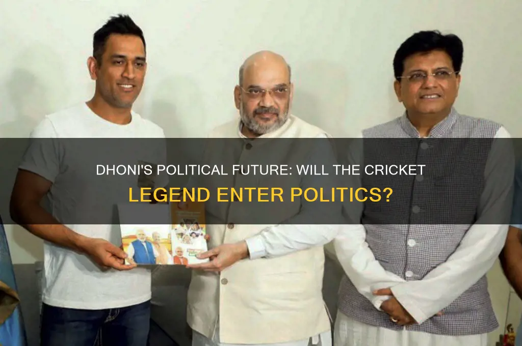 will dhoni join politics