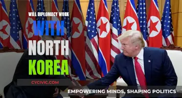 Can Diplomacy Ease Tensions with North Korea?
